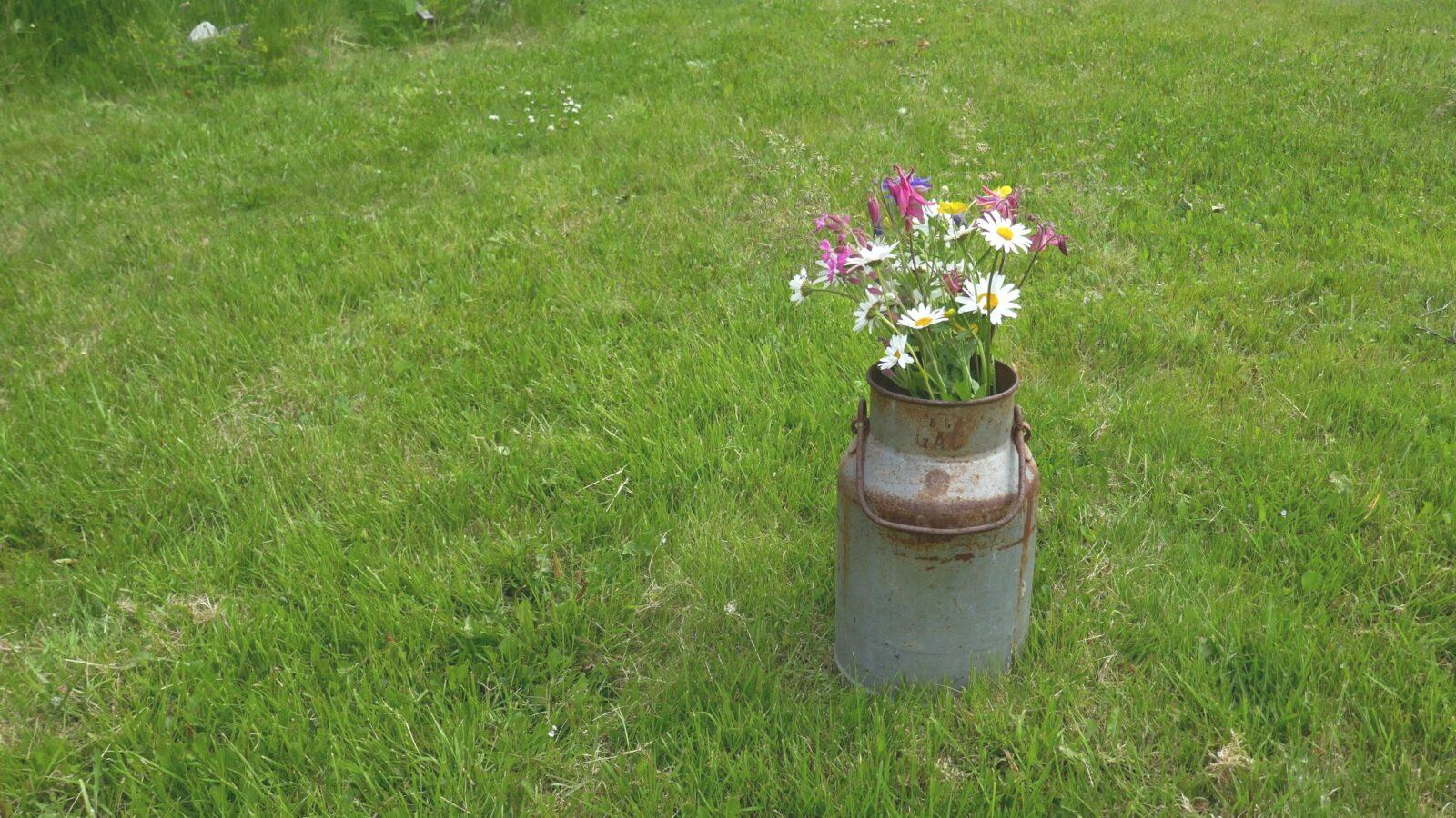 Ängsblommor i en gammal kruka.