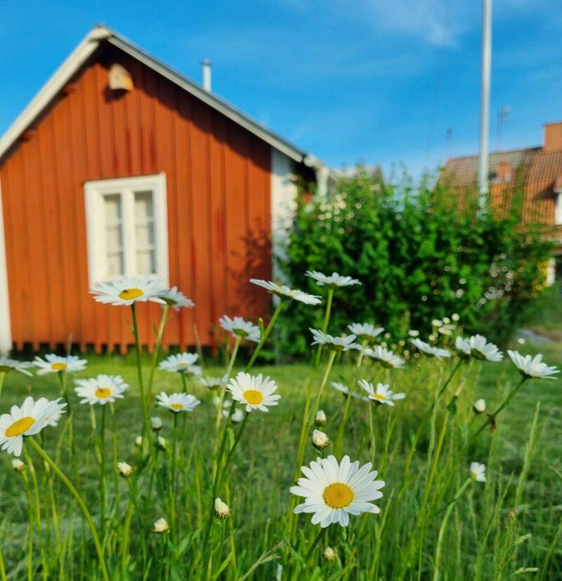 Foto: Monika Larsson