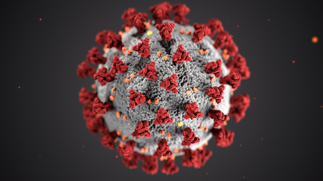 Coronavirus - runt grått klot med roströda taggar.