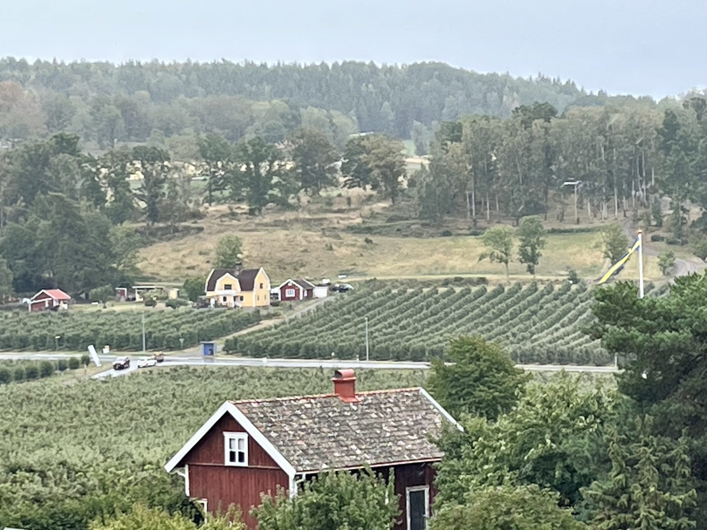 Bild på vy från där vi satt och åt på Rudenstams.